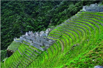 Camino Inca 2 Días / 1 Noche